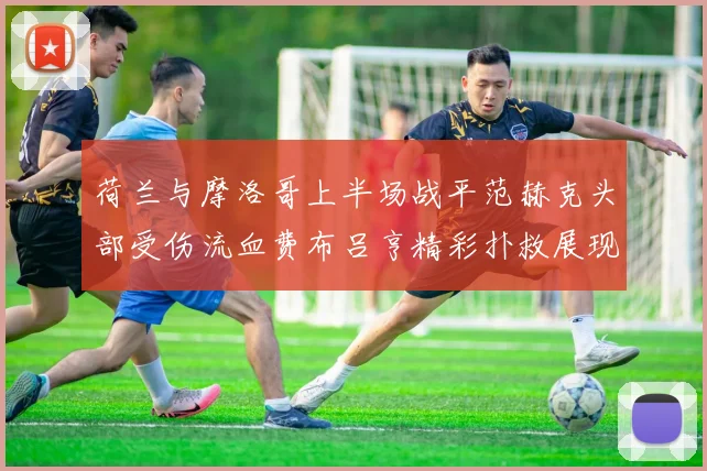 荷兰与摩洛哥上半场战平范赫克头部受伤流血费布吕亨精彩扑救展现实力