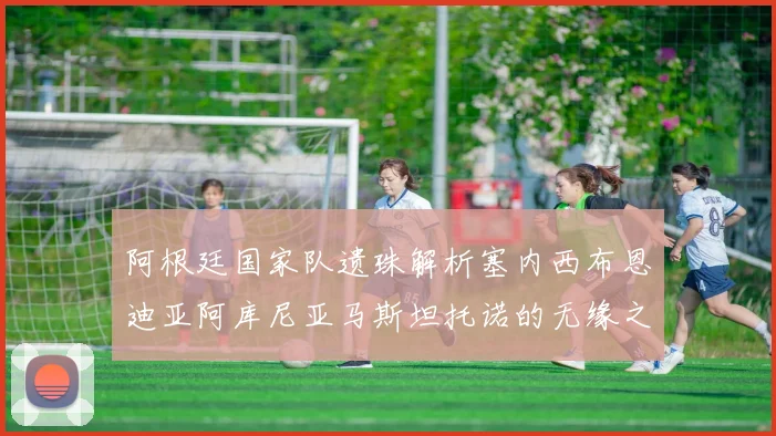 阿根廷国家队遗珠解析塞内西布恩迪亚阿库尼亚马斯坦托诺的无缘之路