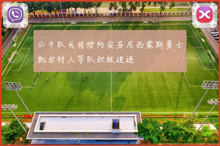公牛队或将续约安芬尼西蒙斯勇士凯尔特人等队积极追逐